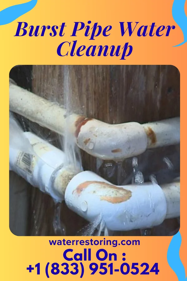 Burst Pipe Water Cleanup in Saratoga, IN